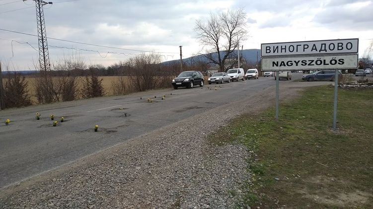 На Закарпатье, к приезду президента, в дорожных ямах установили цветы в горшочках, фото: Голос Карпат. ІНФО