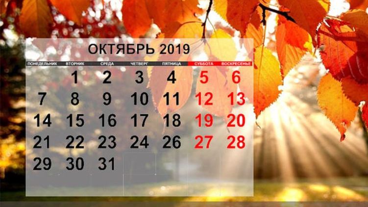 Календарный октябрь. Октябрь 2019 года календарь. Календарь 2019 года октябрь месяц. Календарь октябрь картинка. Календарь на октябрь тематический.