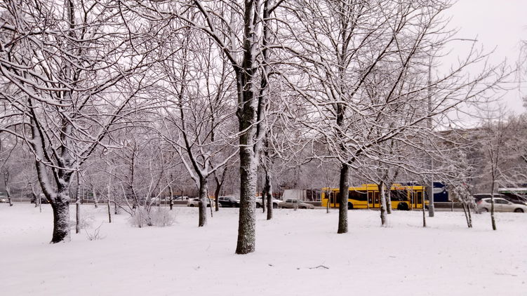 В ночь на 5 февраля в Киеве выпал снег
