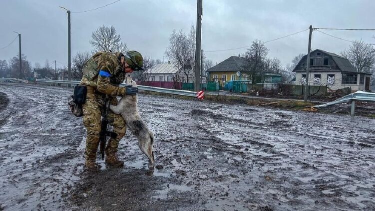 После освобождения украинского села. Фото Олега Мороза