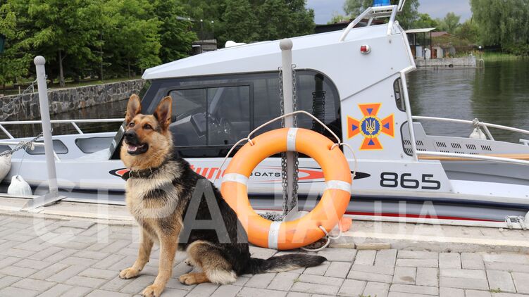 Собака Найда - талисман черкасских спасателей. Фото: 