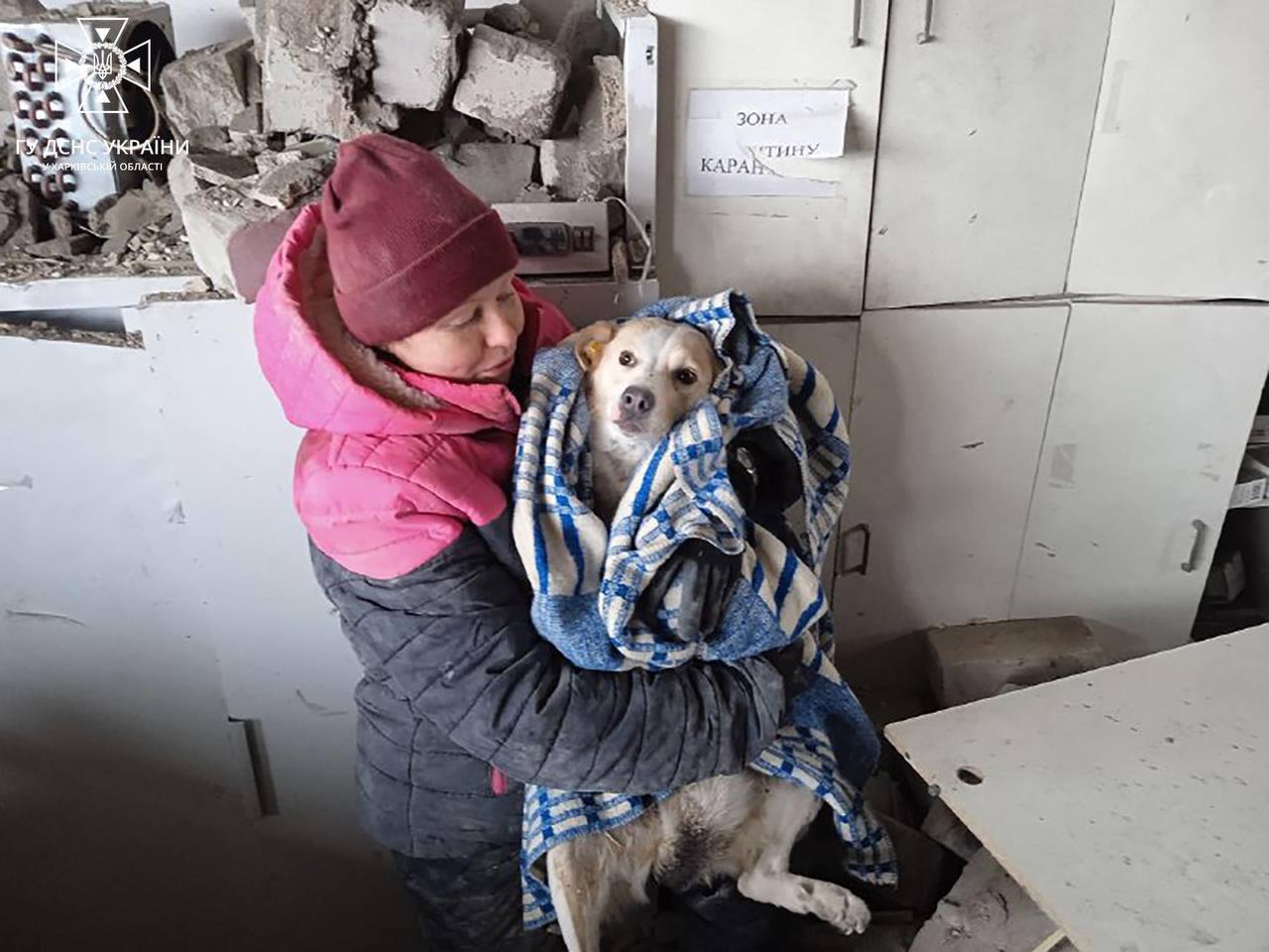Харьковские спасатели спасли собаку из-под завалов аптеки в Купянске
