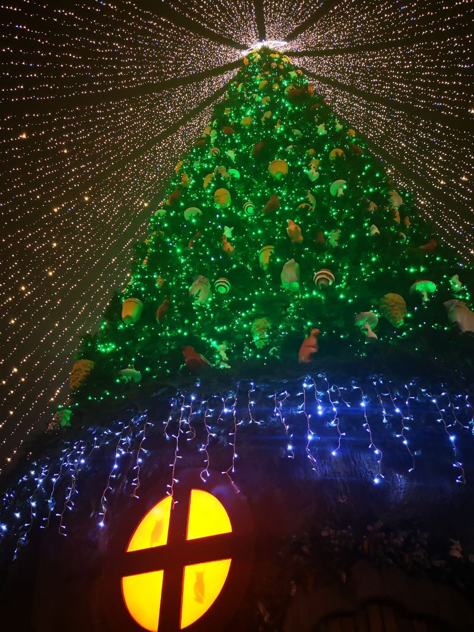 новогодняя елка на Софийской площади