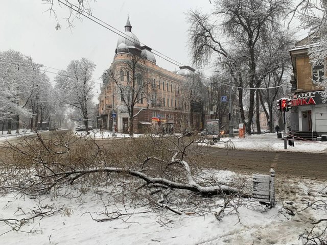 снегопад в Одессе, фото Думская
