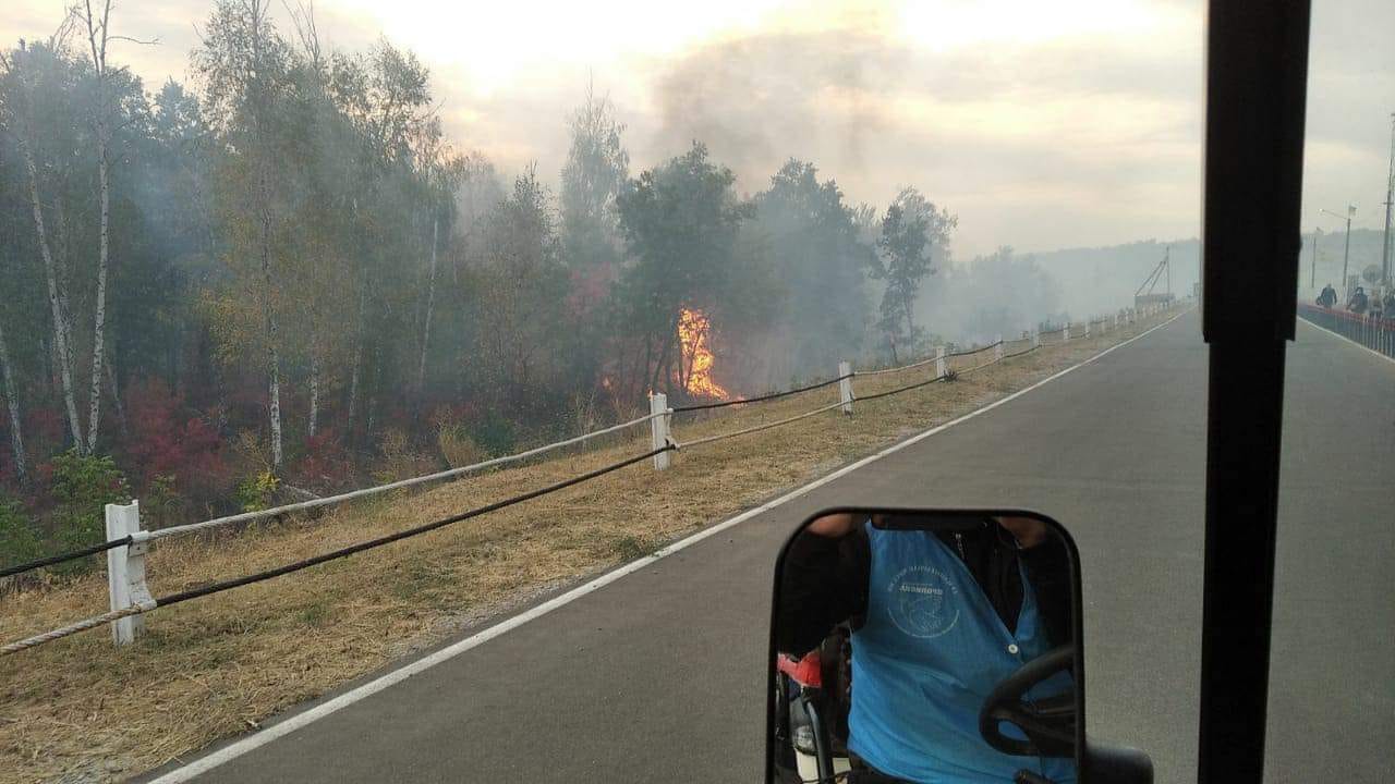 В районе КПВВ Станица Луганская горят леса. Фото: Каплин