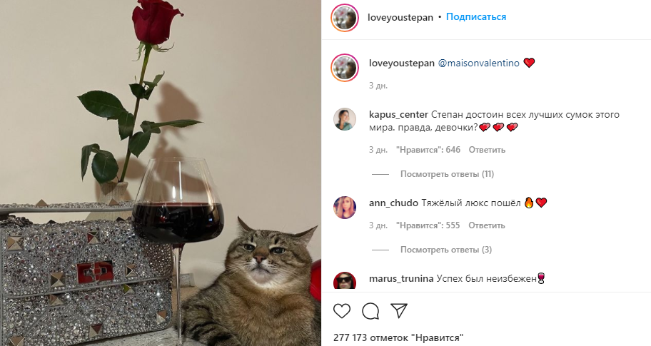 Модный дом Valentino купил рекламу у кота Степана из Харькова. Фото