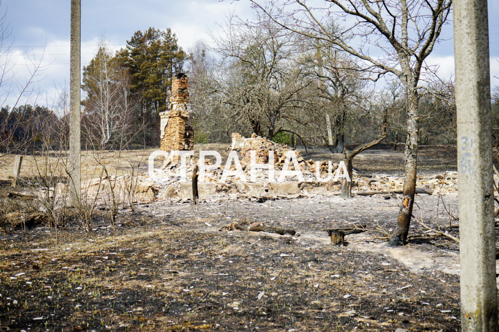 Последствия пожаров в Житомирской области