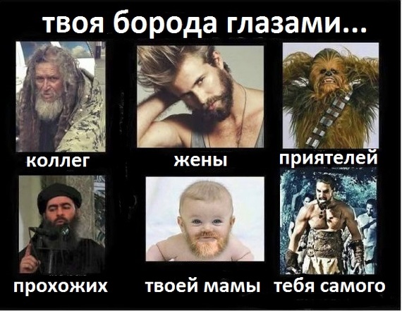 мемы про бороду
