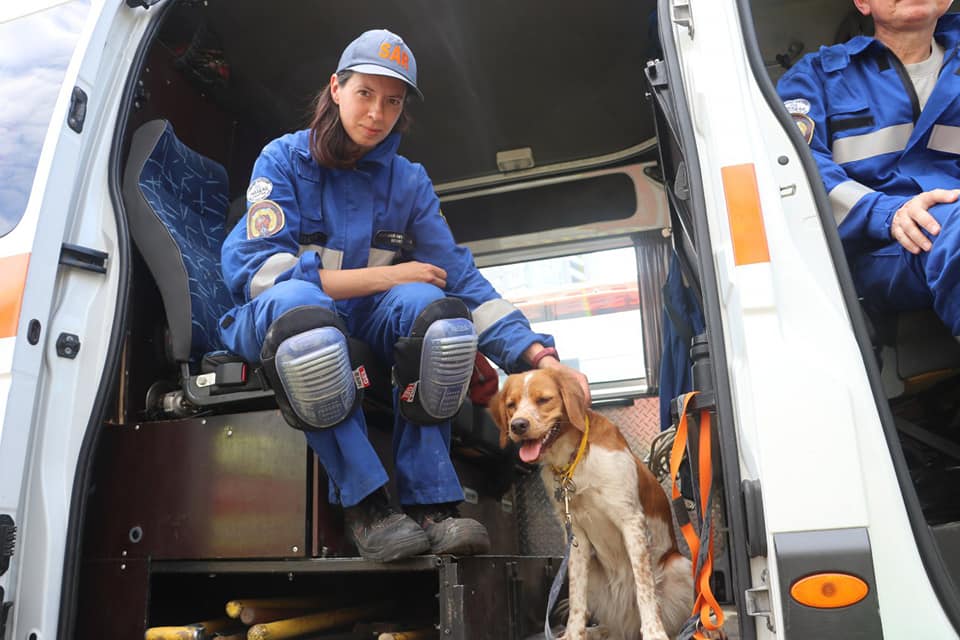 собаки на месте взрыва в Киеве
