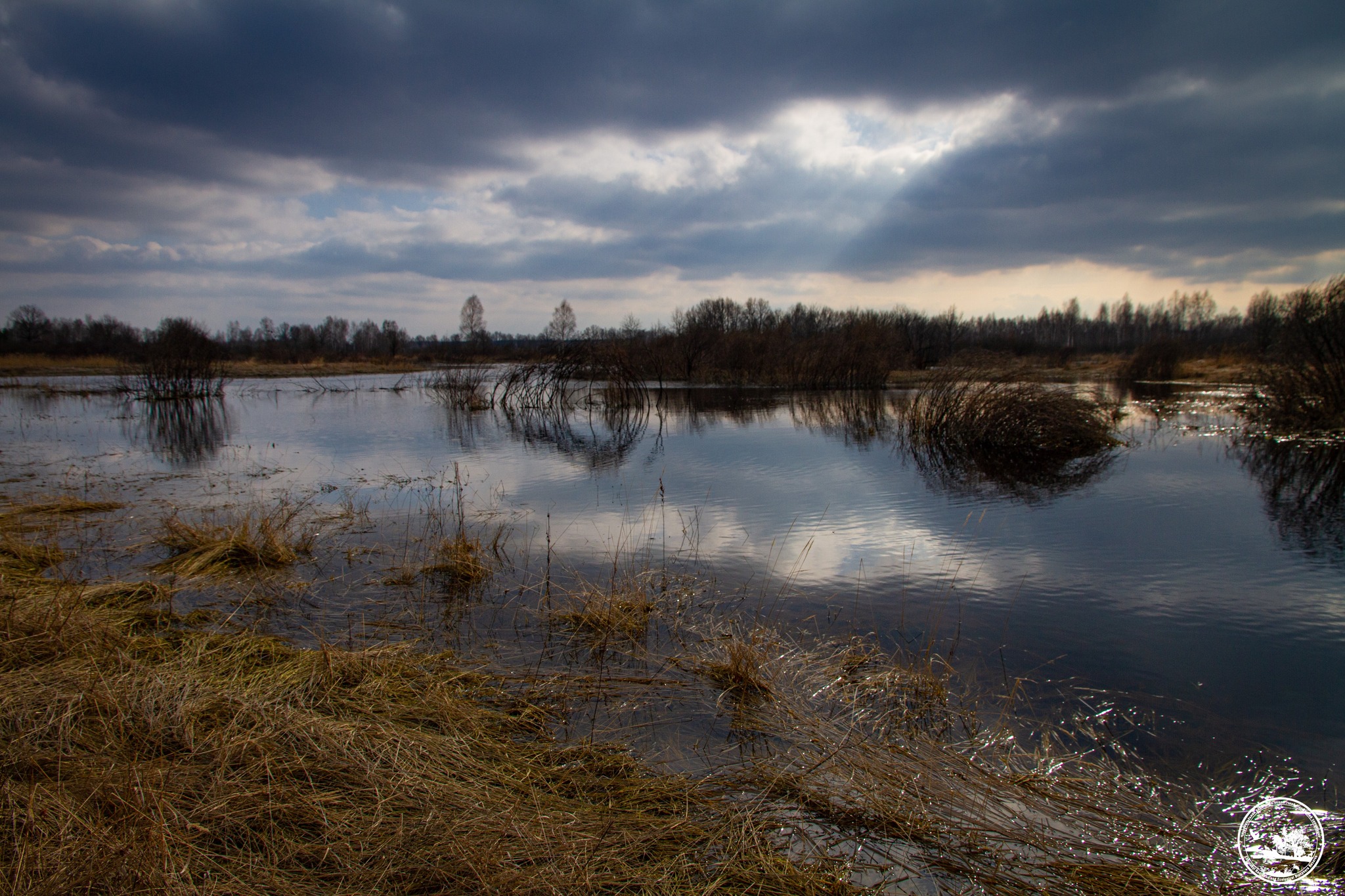 Водно-болотные угодья в зоне отчуждения Чернобыльской АЭС