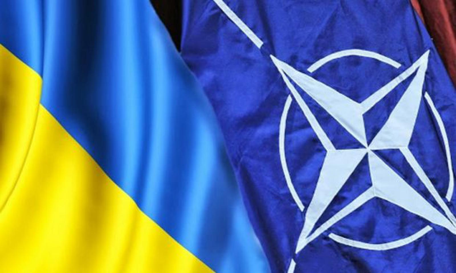 Украина упорно стремится в НАТО, хотя в самом НАТО ее не принимают