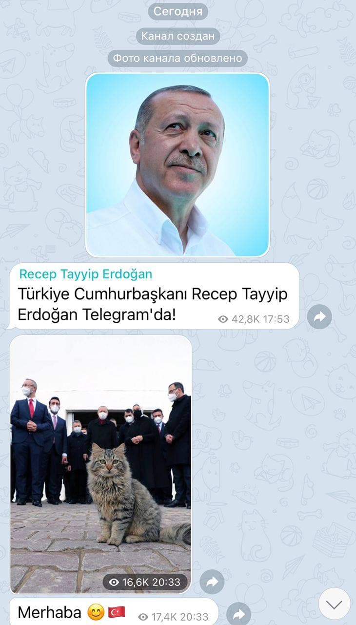 Скриншот из Телеграм Эрдогана