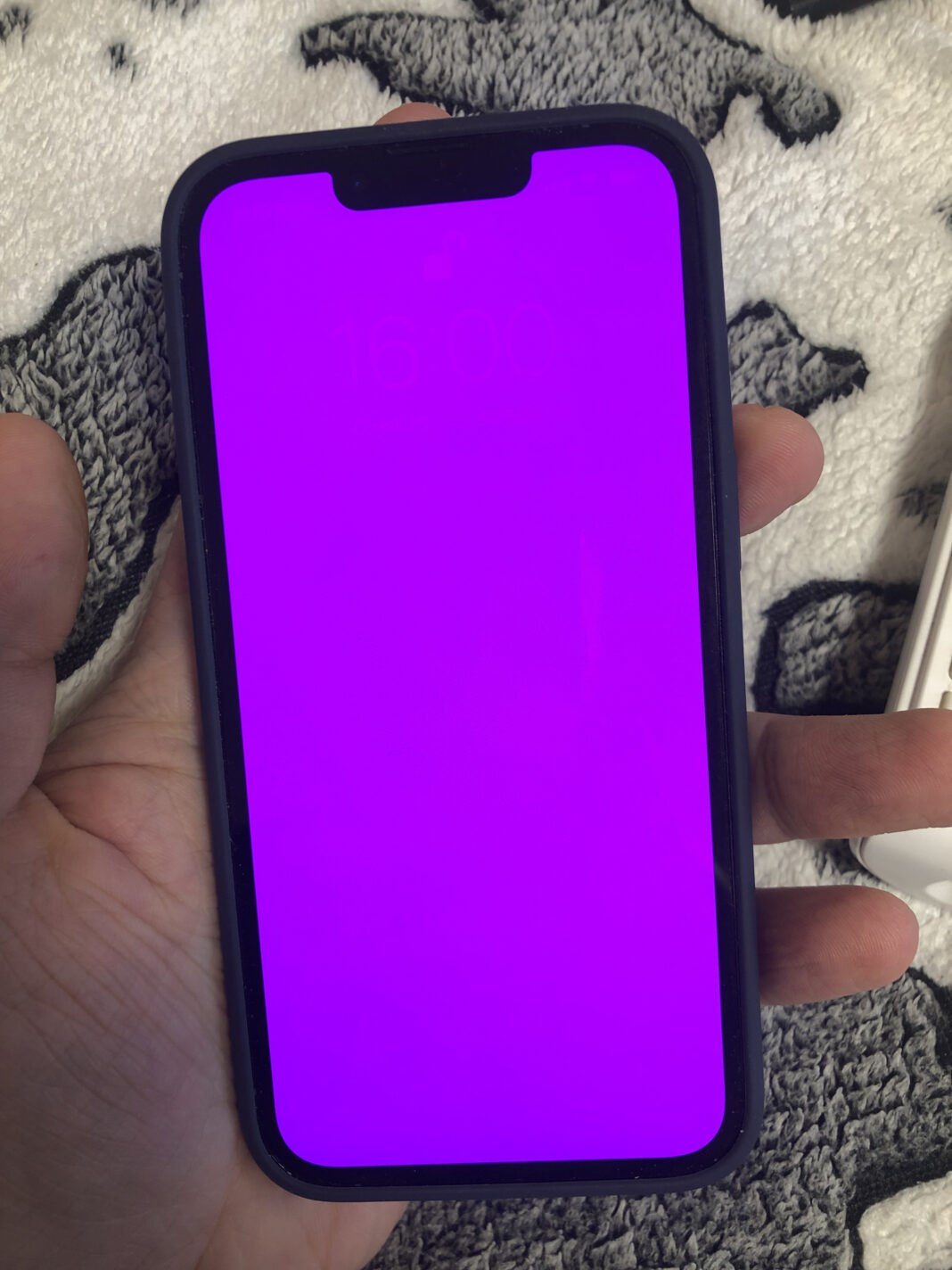 Владельцы iPhone 13 жалуются на розовый "экран смерти". Фото