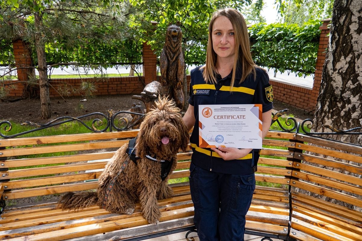 В Донецкой области собака-психолог из ГСЧС выучилась на терапевта и получила диплом. Фото