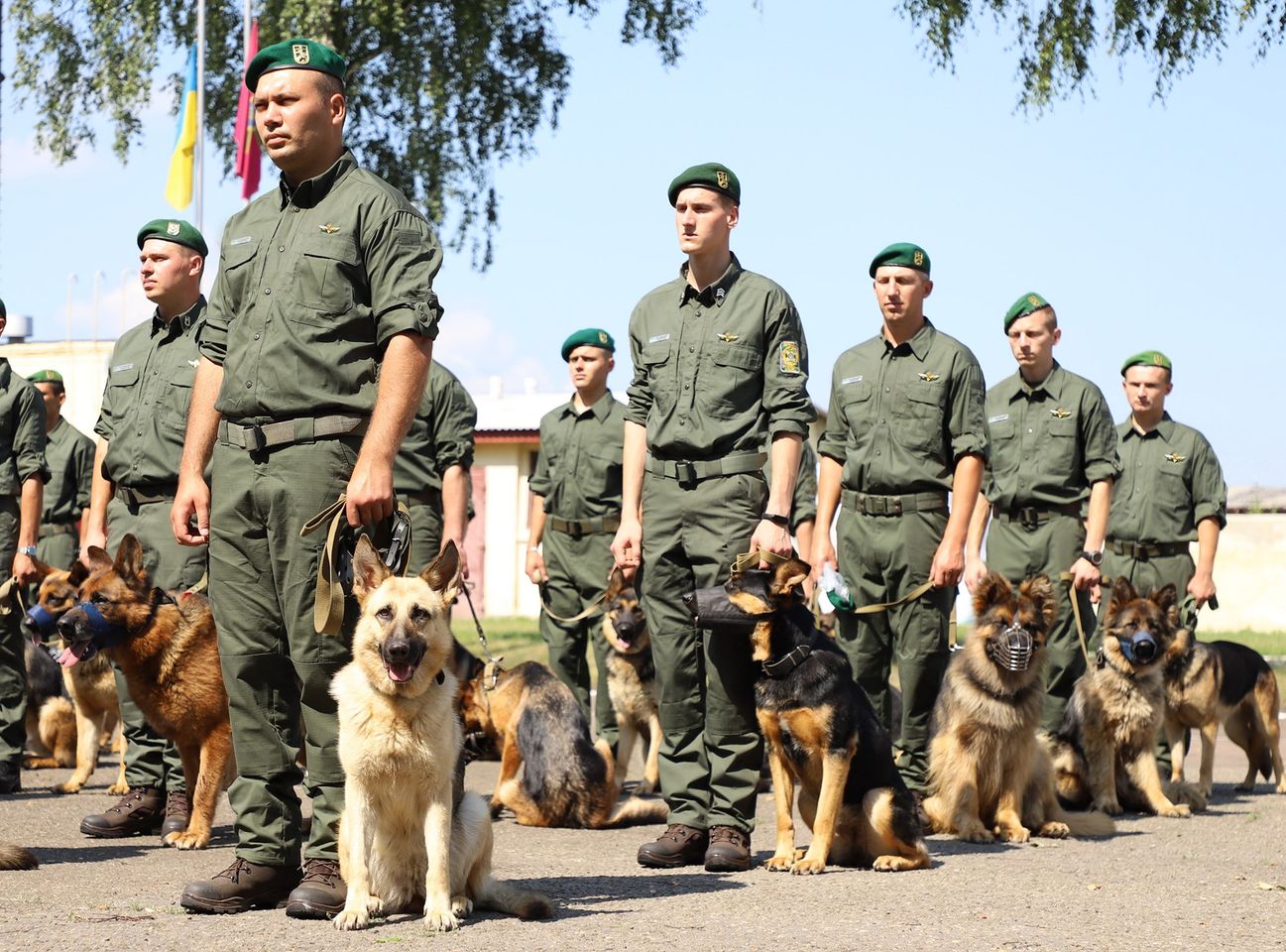 В параде к 30-летию Независимости будут участвовать собаки, которые помогают пограничникам искать наркотики
