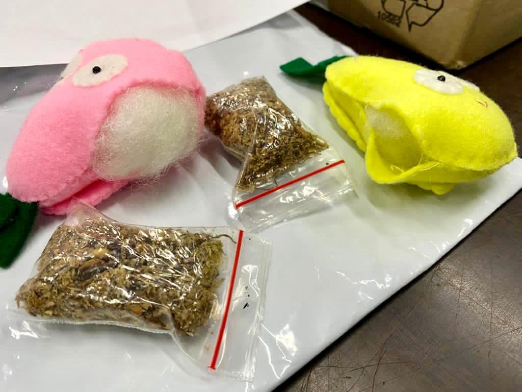 Таможенники обнаружили наркотики в детских игрушках из Индонезии