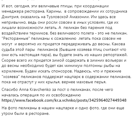 Пеликанов переселили в национальный природный парк "Тузловские лиманы". Скриншот: Facebook/ rusevivan