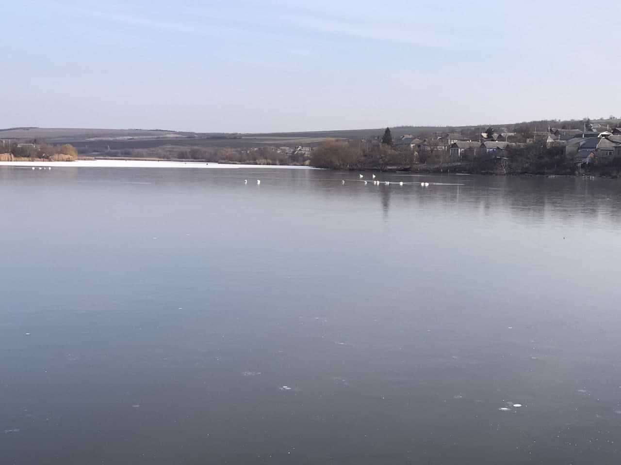В Одесской области 16 лебедей примерзли ко льду. Спасателям удалось освободить птиц. Фото: facebook.com/DSNSODE