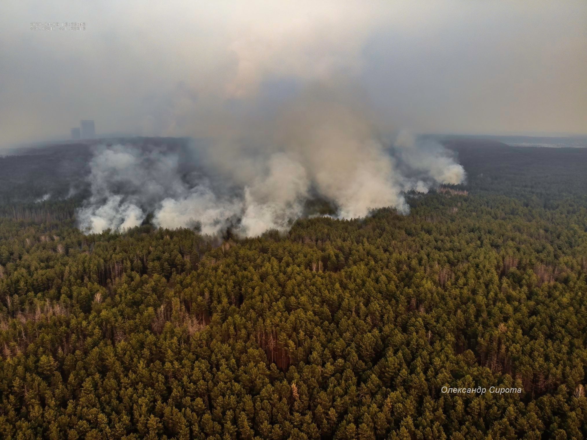 Как помочь пожарникам минимизировать лесные возгорания. Фото: Facebook / Чернобыльский заповедник