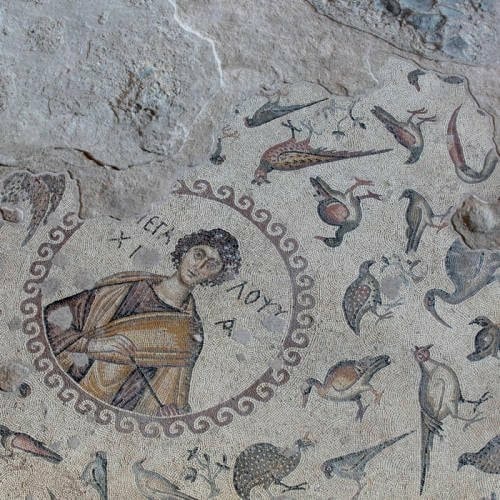 В Турции разрушена самая большая Римская мозаика. Фото: Facebook / Ассоциация археологии и наследия