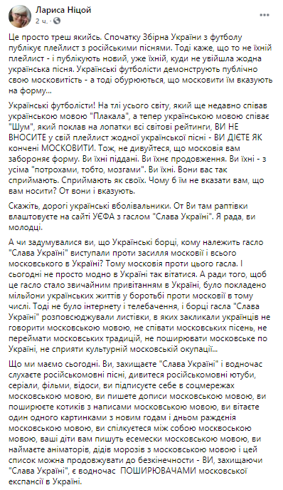 Лариса Ницой критикует украинских футболистов. Скриншот из фейсбука писательницы