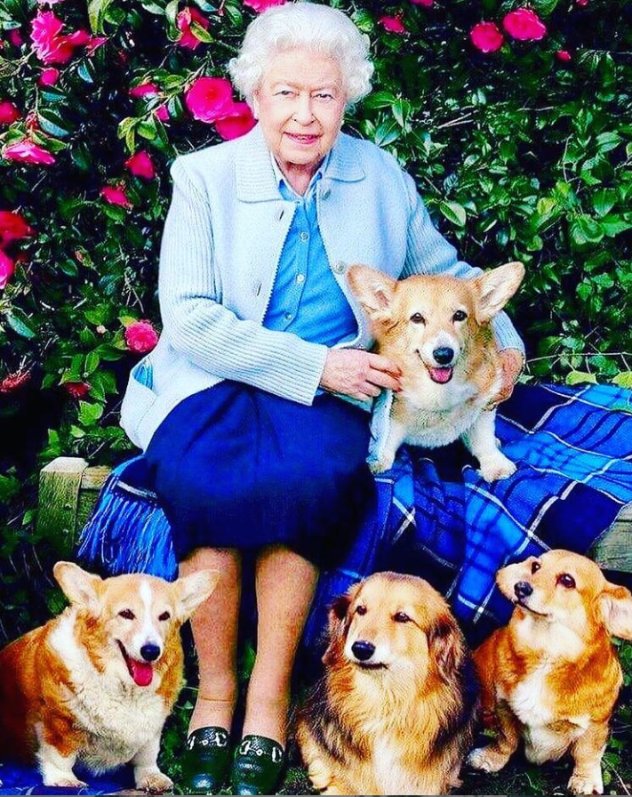 Королева Великобритании Елизавета II потеряла питомца. Скриншот https://www.instagram.com/cortina_wedding_odilla/