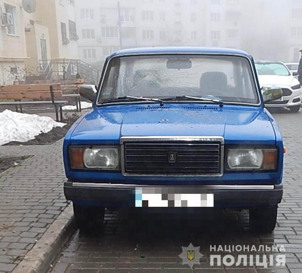 Машины, которая женщина разбила с помощью крипича в Одесской области. Скриншот od.npu.gov.ua