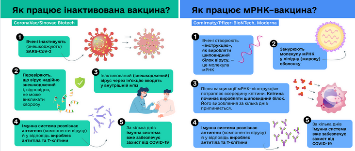 Типы вакцин от коронавируса