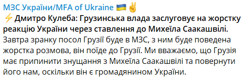 В МИД Украины вызовут посла Грузии