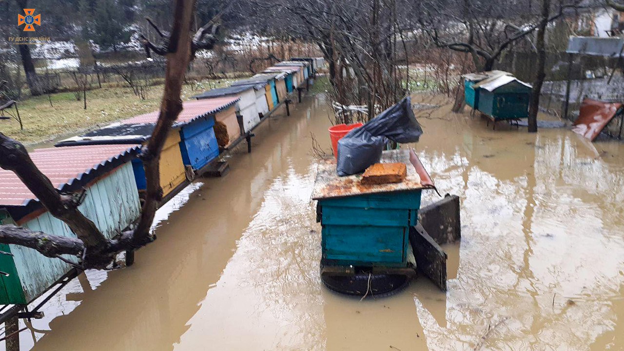 Фото затопленной придомовой территории. Источник - ГСЧС Украины